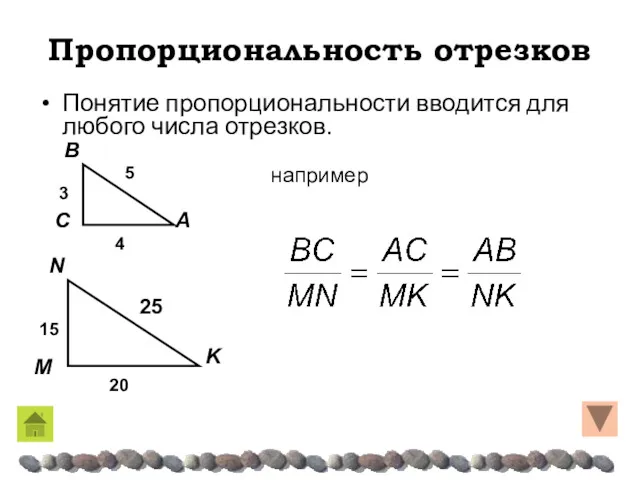 Пропорциональность отрезков Понятие пропорциональности вводится для любого числа отрезков. например