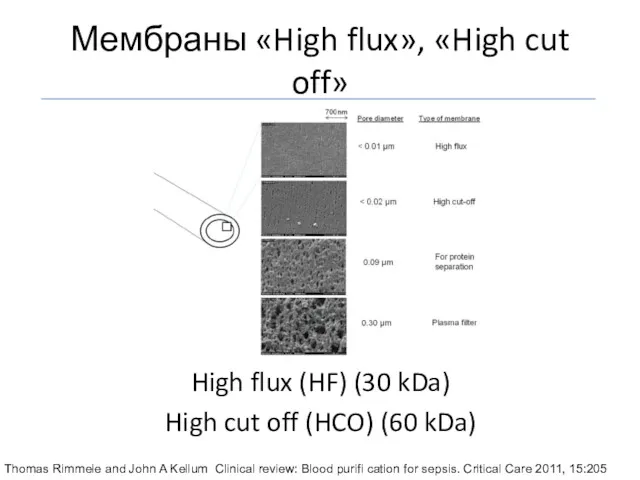 Мембраны «High flux», «High cut off» High flux (HF) (30 kDa) High cut