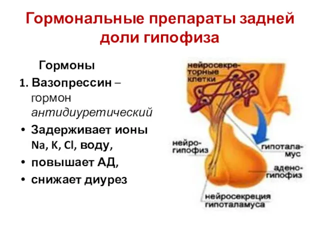 Гормональные препараты задней доли гипофиза Гормоны 1. Вазопрессин – гормон