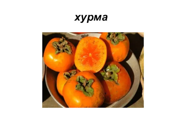 хурма