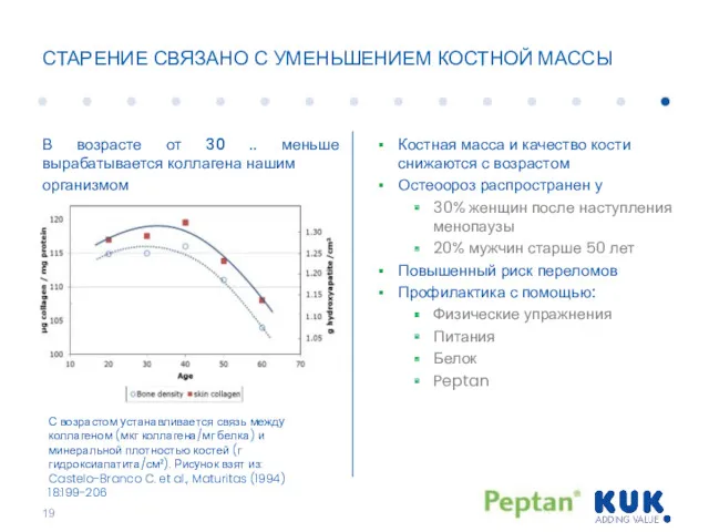 СТАРЕНИЕ СВЯЗАНО С УМЕНЬШЕНИЕМ КОСТНОЙ МАССЫ В возрасте от 30