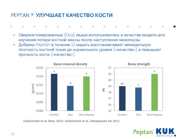 PEPTAN ® УЛУЧШАЕТ КАЧЕСТВО КОСТИ Овариэктомированные (Ovx) мыши использовались в