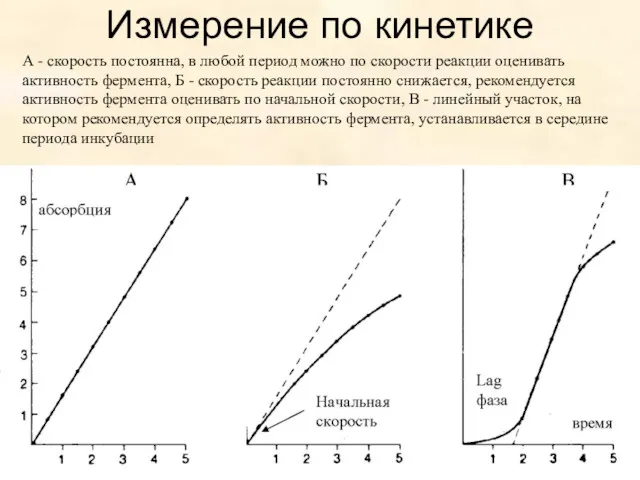 Измерение по кинетике А - скорость постоянна, в любой период