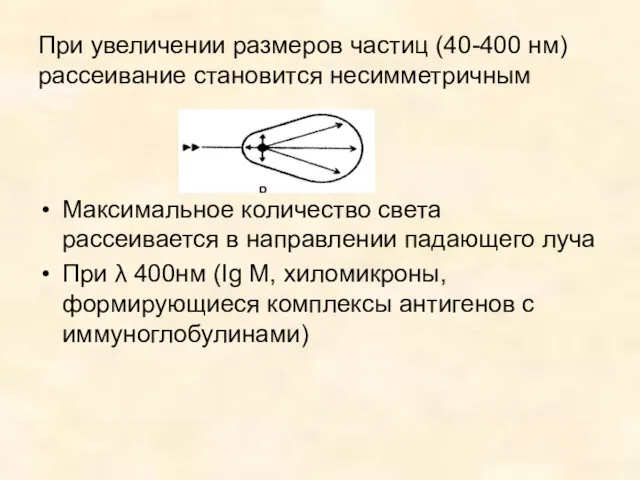 При увеличении размеров частиц (40-400 нм)рассеивание становится несимметричным Максимальное количество