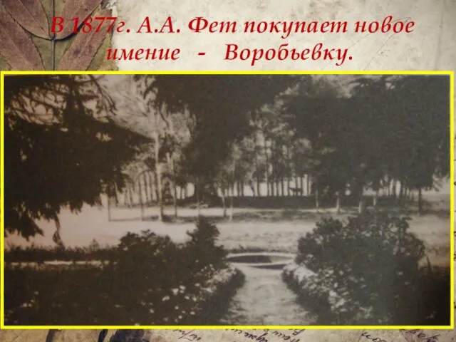 В 1877г. А.А. Фет покупает новое имение - Воробьевку.