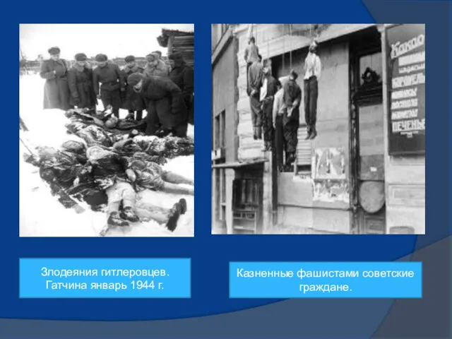 Злодеяния гитлеровцев. Гатчина январь 1944 г. Казненные фашистами советские граждане.