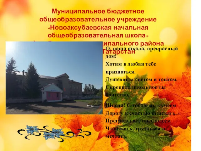 Муниципальное бюджетное общеобразовательное учреждение «Новоаксубаевская начальная общеобразовательная школа» Аксубаевского муниципального