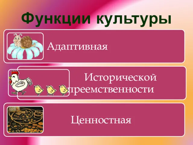 Функции культуры