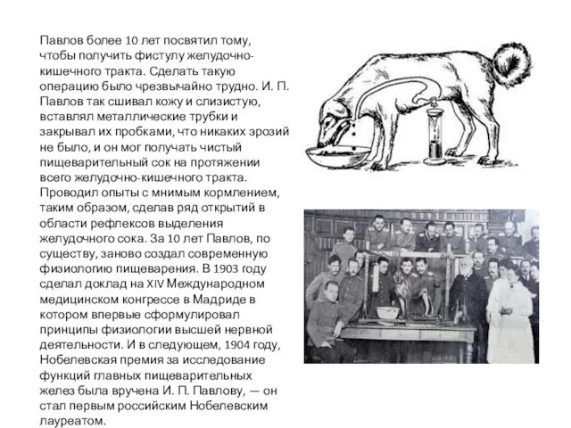 Павлов более 10 лет посвятил тому, чтобы получить фистулу желудочно-кишечного