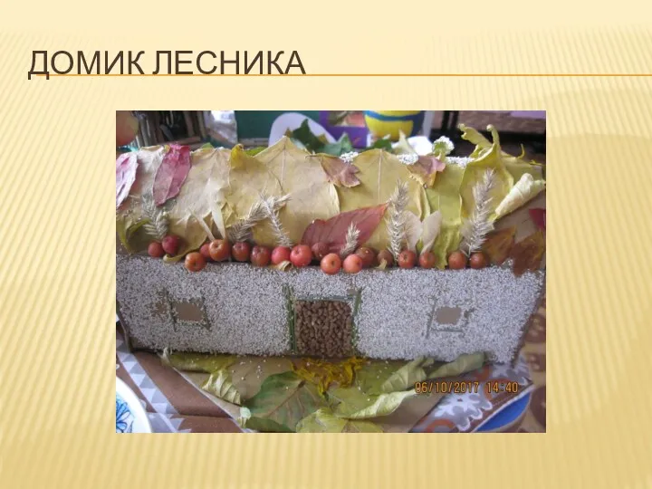 ДОМИК ЛЕСНИКА