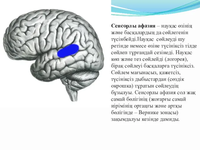 Сенсорлы афазия – науқас өзінің және басқалардың да сөйлегенін түсінбейді.Науқас