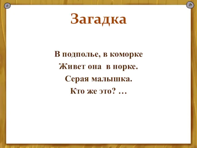 Загадка В подполье, в коморке Живет она в норке. Серая малышка. Кто же это? …