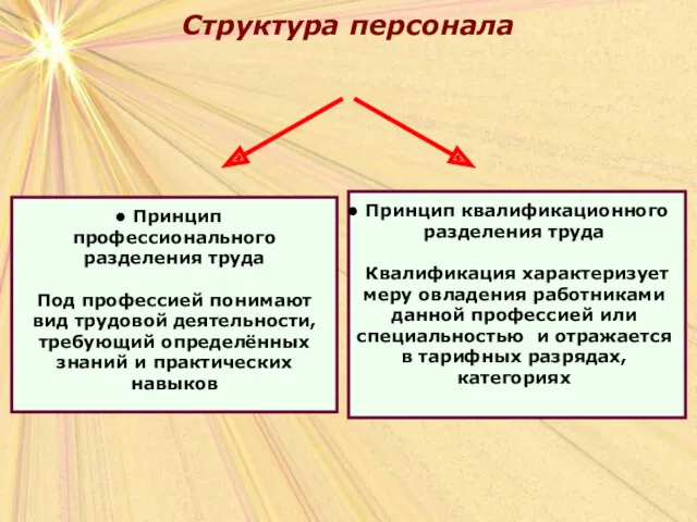 Структура персонала