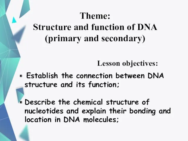 Lesson objectives: Establish the connection between DNA structure and its function; Describe the