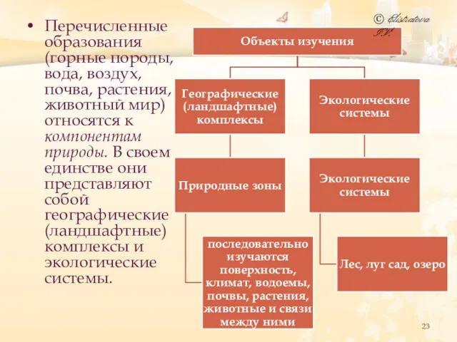 Перечисленные образования (горные породы, вода, воздух, почва, растения, животный мир)