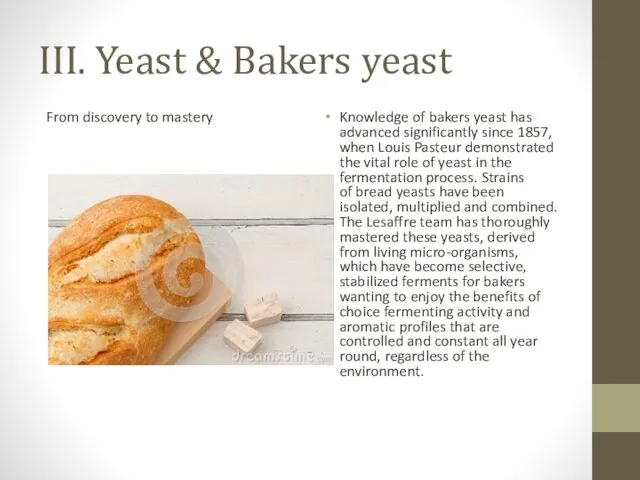 III. Yeast & Bakers yeast From discovery to mastery Knowledge