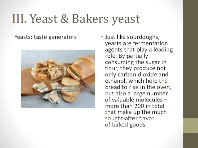 III. Yeast & Bakers yeast Yeasts: taste generators Just like