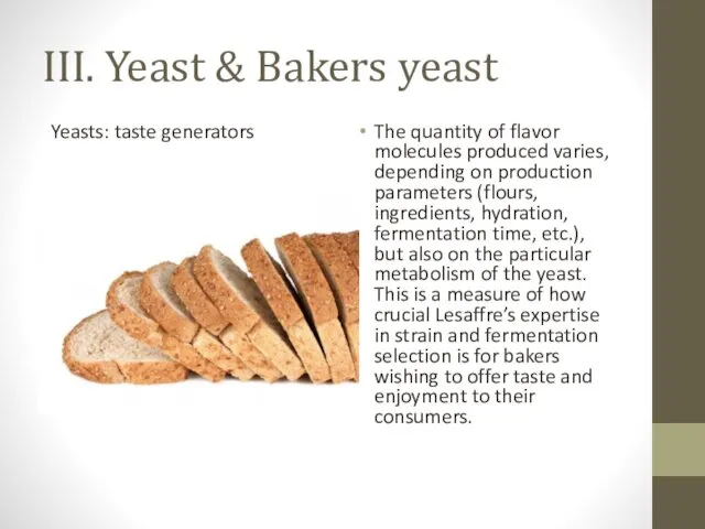 III. Yeast & Bakers yeast Yeasts: taste generators The quantity