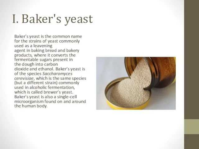 I. Baker's yeast Baker's yeast is the common name for