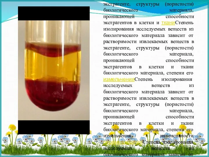 Степень изолирования исследуемых веществСтепень изолирования исследуемых веществ из биологического материала