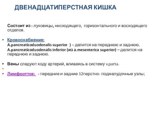 ДВЕНАДЦАТИПЕРСТНАЯ КИШКА Состоит из : луковицы, нисходящего, горизонтального и восходящего