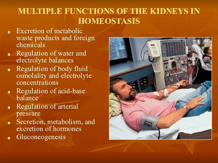 MULTIPLE FUNCTIONS OF THE KIDNEYS IN HOMEOSTASIS Excretion of metabolic waste products and