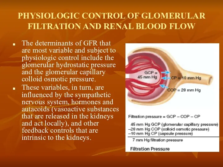 PHYSIOLOGIC CONTROL OF GLOMERULAR FILTRATION AND RENAL BLOOD FLOW The determinants of GFR