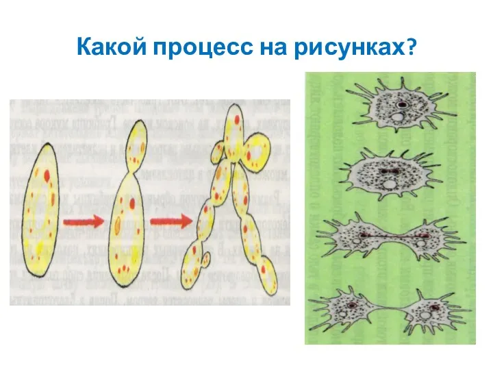 Какой процесс на рисунках?