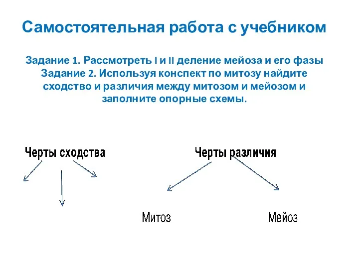 Самостоятельная работа с учебником Задание 1. Рассмотреть I и II