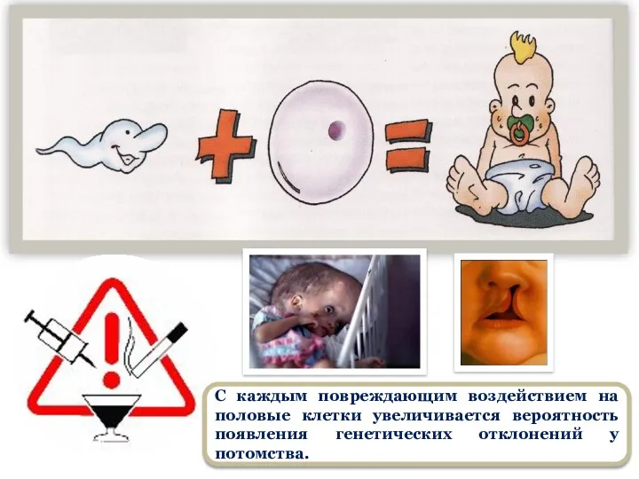 С каждым повреждающим воздействием на половые клетки увеличивается вероятность появления генетических отклонений у потомства.