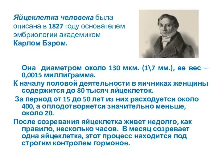 Яйцеклетка человека была описана в 1827 году основателем эмбриологии академиком