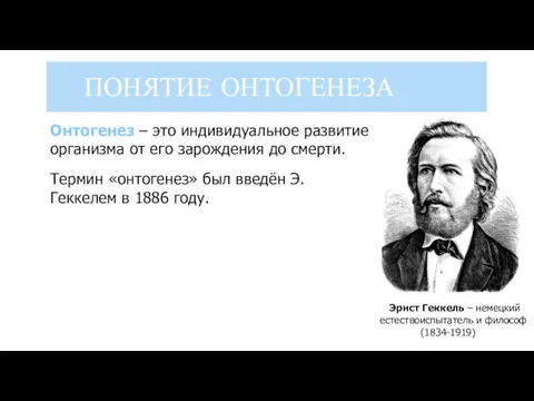 ПОНЯТИЕ ОНТОГЕНЕЗА Термин «онтогенез» был введён Э.Геккелем в 1886 году.