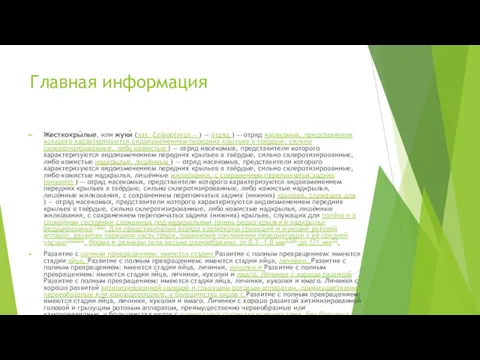 Главная информация Жесткокры́лые, или жуки́ (лат. Coleoptera) — ) —