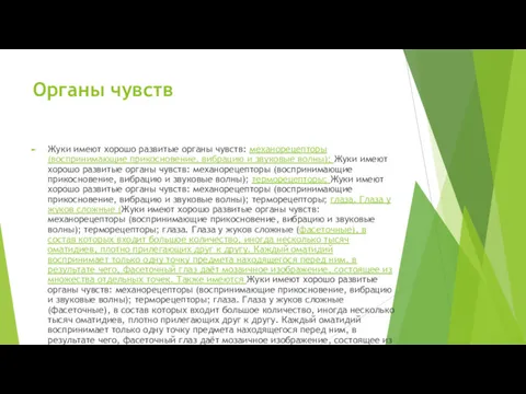 Органы чувств Жуки имеют хорошо развитые органы чувств: механорецепторы (воспринимающие