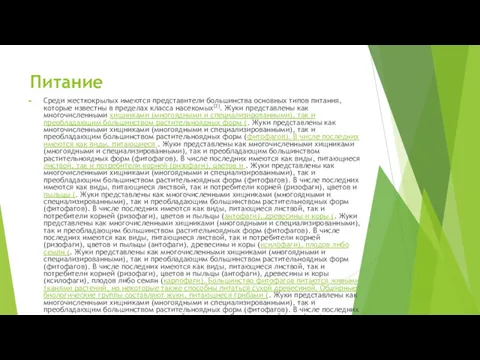 Питание Среди жесткокрылых имеются представители большинства основных типов питания, которые