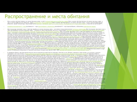 Распространение и места обитания Жуки широко распространены по всему земному