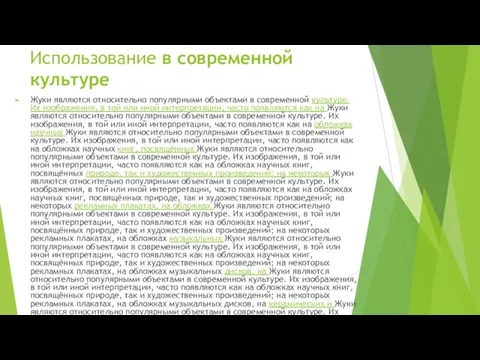 Использование в современной культуре Жуки являются относительно популярными объектами в