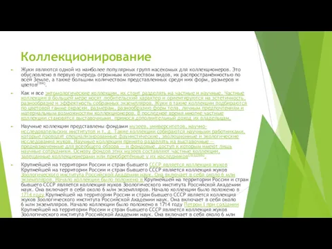 Коллекционирование Жуки являются одной из наиболее популярных групп насекомых для