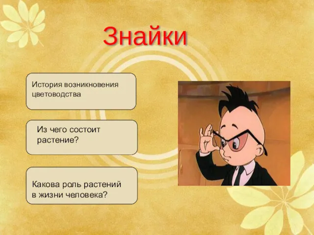 Знайки Какова роль растений в жизни человека? Из чего состоит растение? История возникновения цветоводства