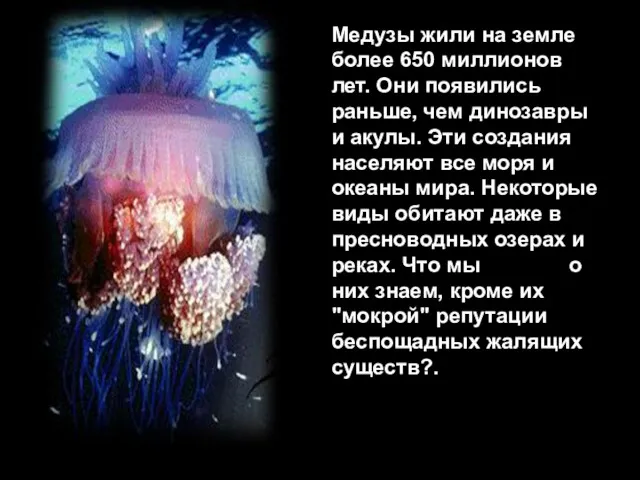 Медузы жили на земле более 650 миллионов лет. Они появились