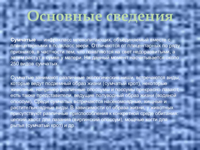 Основные сведения Сумчатые — инфракласс млекопитающих, объединяемый вместе с планцетарными