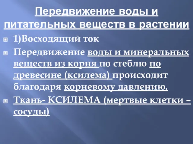 Передвижение воды и питательных веществ в растении 1)Восходящий ток Передвижение