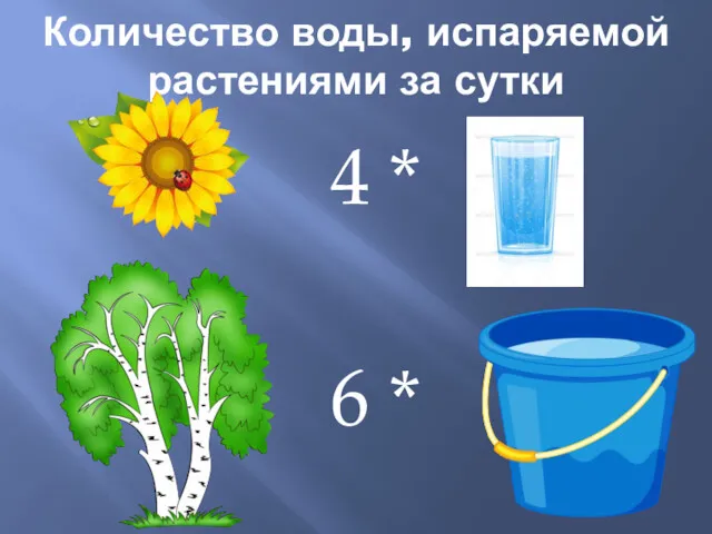 Количество воды, испаряемой растениями за сутки 4 * 6 *