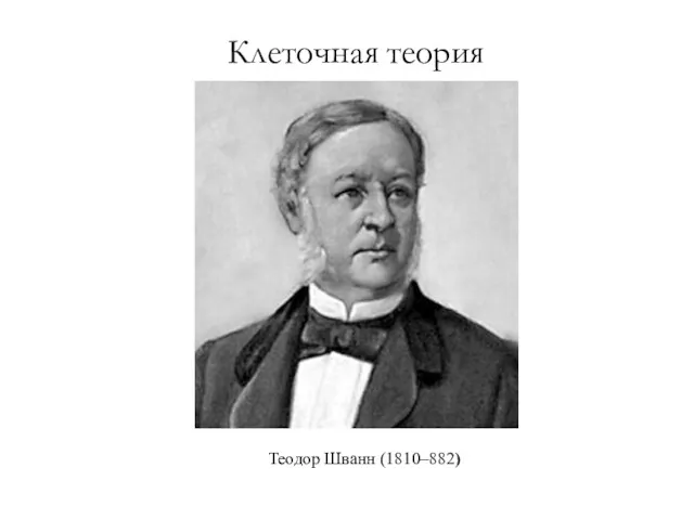 Клеточная теория Теодор Шванн (1810–882)