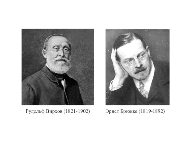 Рудольф Вирхов (1821-1902) Эрнст Брюкке (1819-1892)