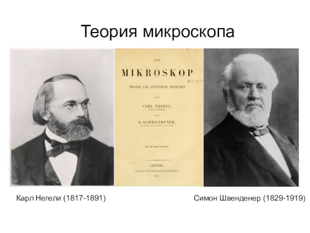 Теория микроскопа Карл Негели (1817-1891) Симон Швенденер (1829-1919)