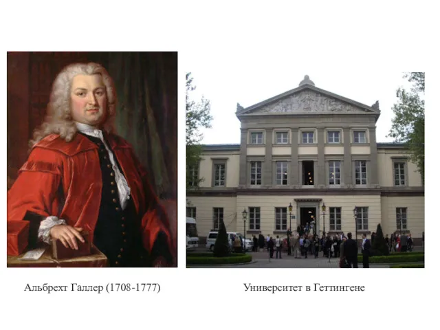 Альбрехт Галлер (1708-1777) Университет в Геттингене