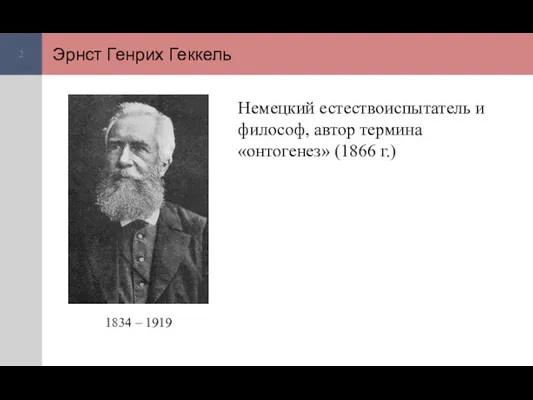 Эрнст Генрих Геккель Немецкий естествоиспытатель и философ, автор термина «онтогенез» (1866 г.) 1834 – 1919