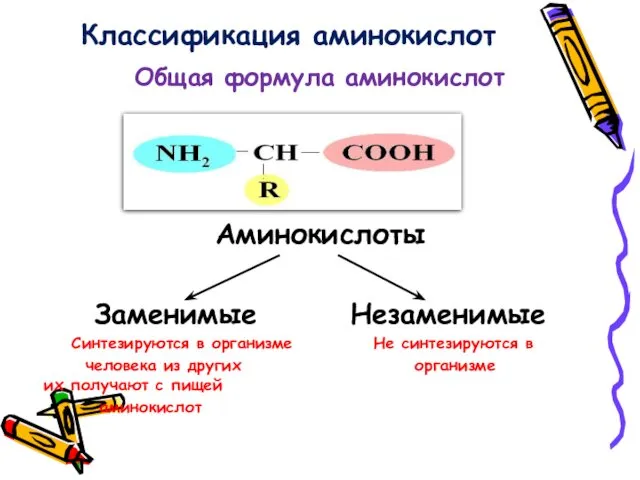 Общая формула аминокислот Аминокислоты Заменимые Незаменимые Синтезируются в организме Не