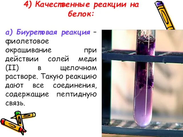 4) Качественные реакции на белок: а) Биуретовая реакция – фиолетовое